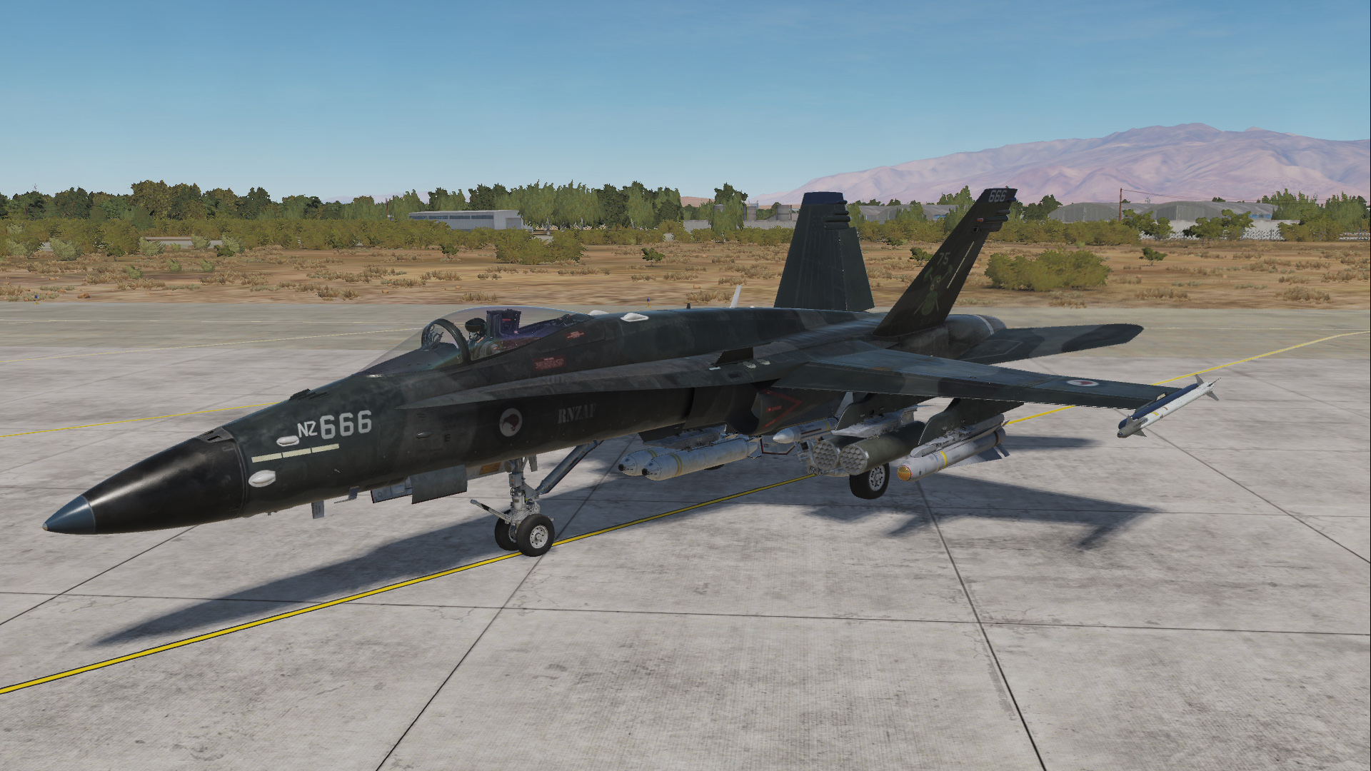 Fictional RNZAF (Royal New Zealand Airforce) F/A-18C - 75 Squadron