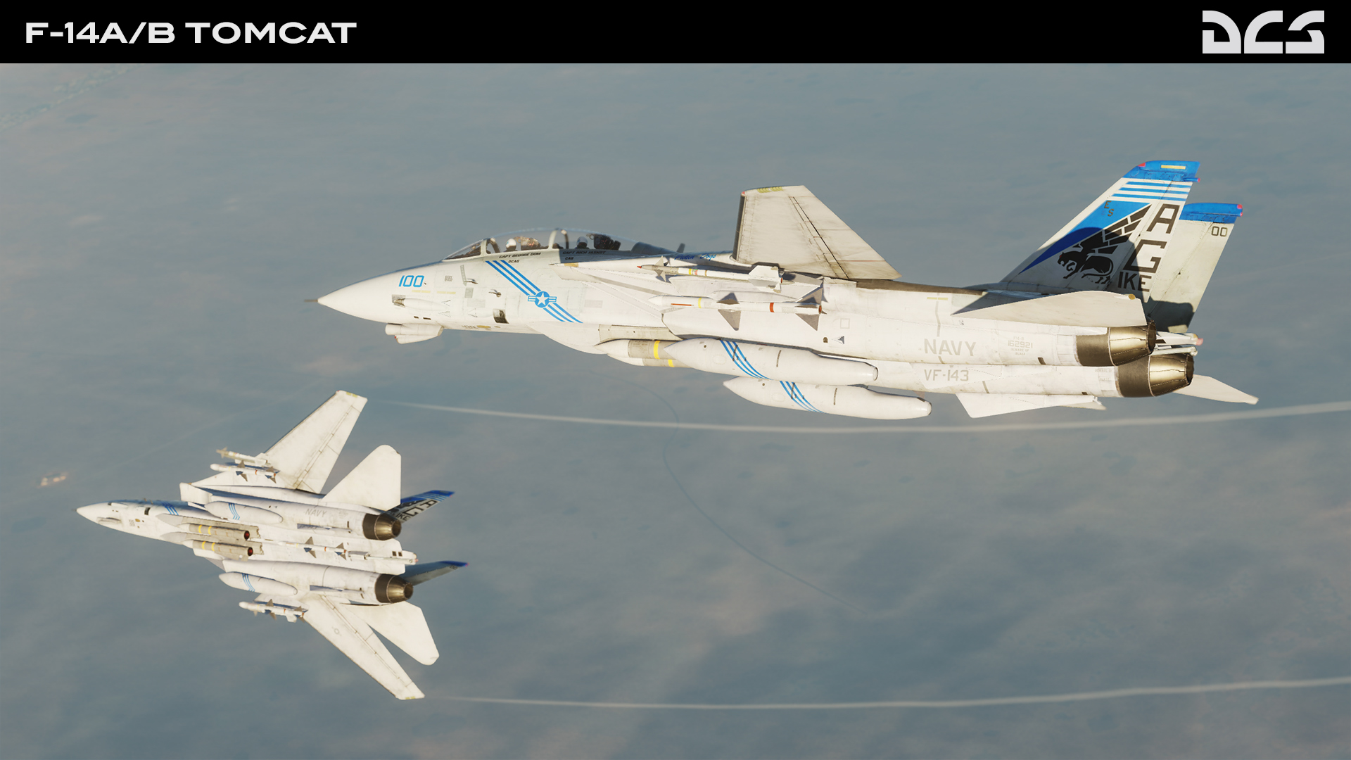 DCS: F-14 Tomcat