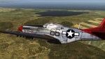 Red Tail P-51 "By Request"