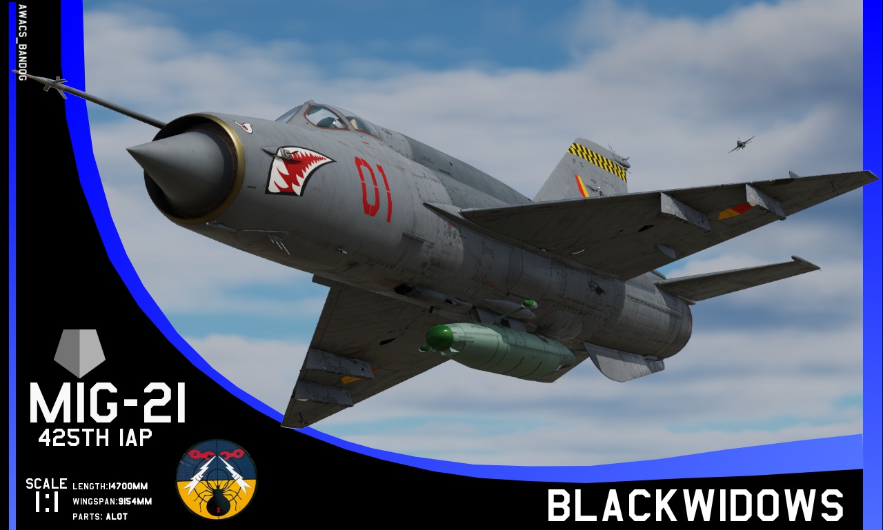 Ace Combat - Yuktobanian Air Force 425th Fighter Aviation Regiment ‘Blackwidows’