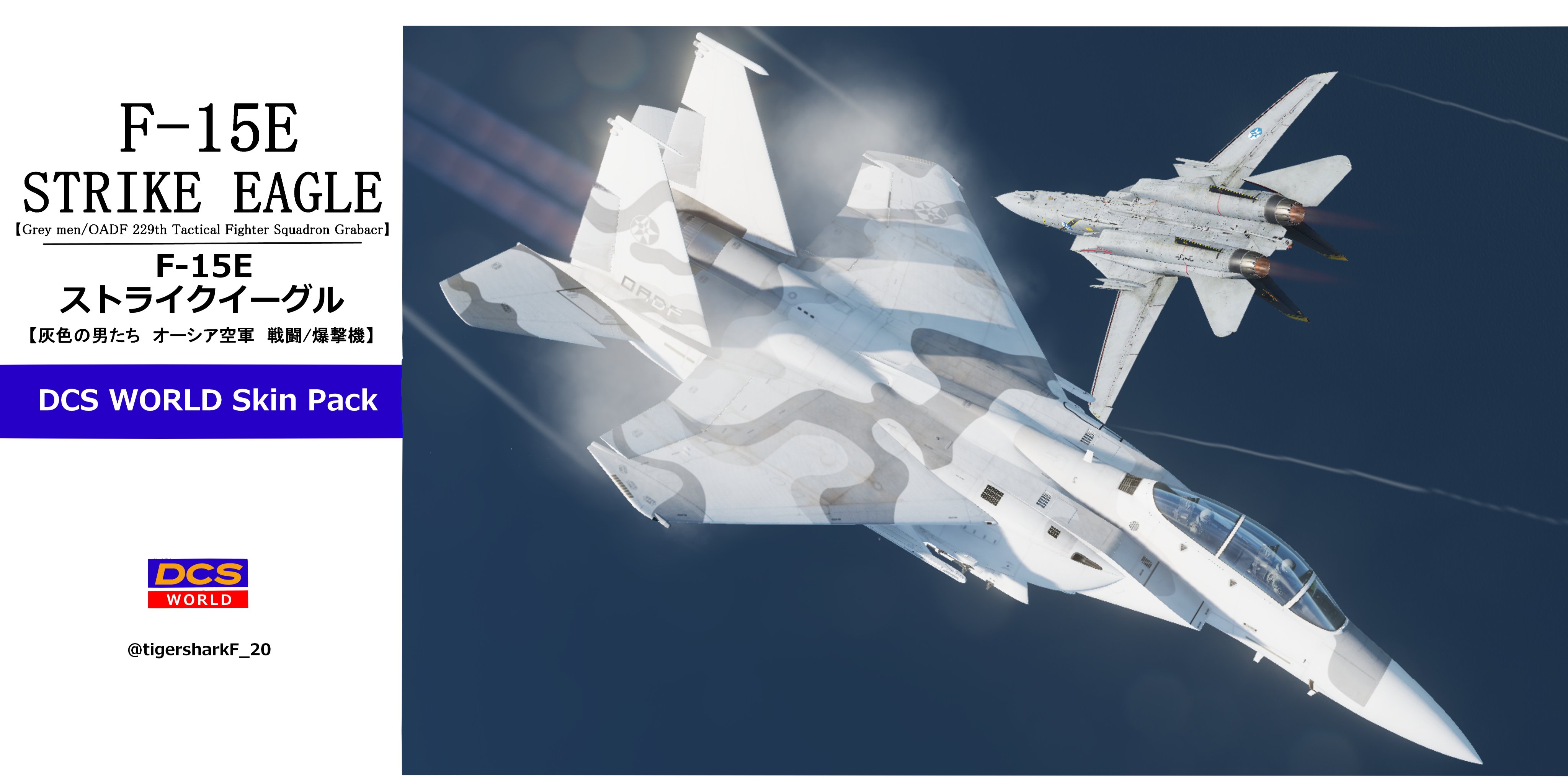 Acecombat5 229th OADF/Gray men Tactical Fighter Squadron Grabacr