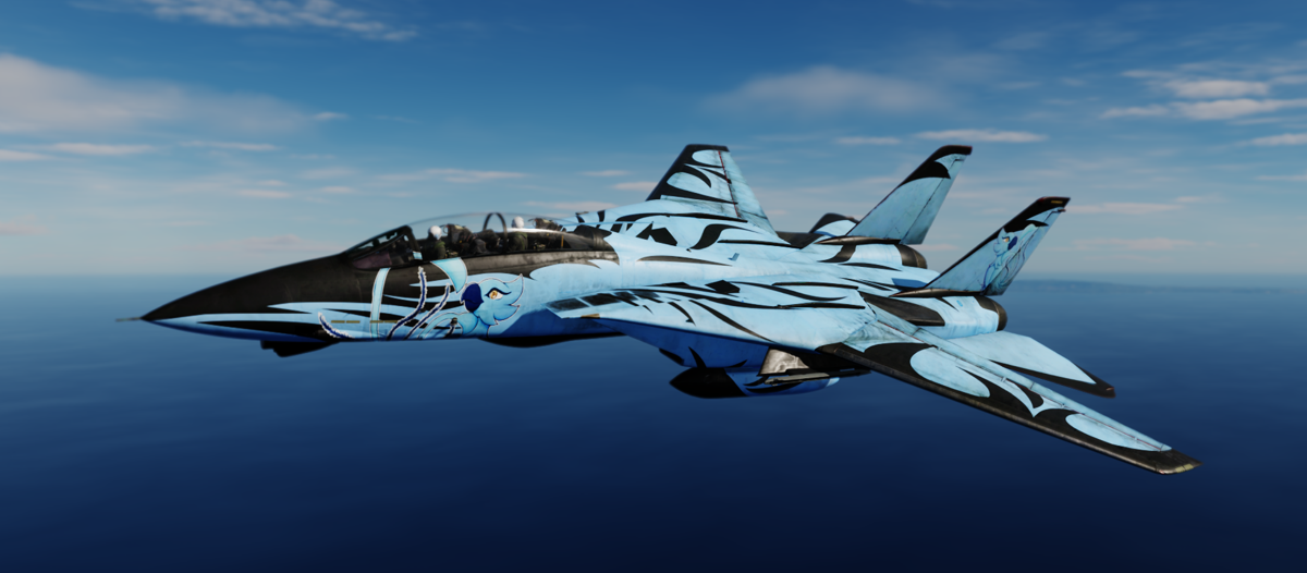 F-14B Radiant Phoenix - Fenikuru