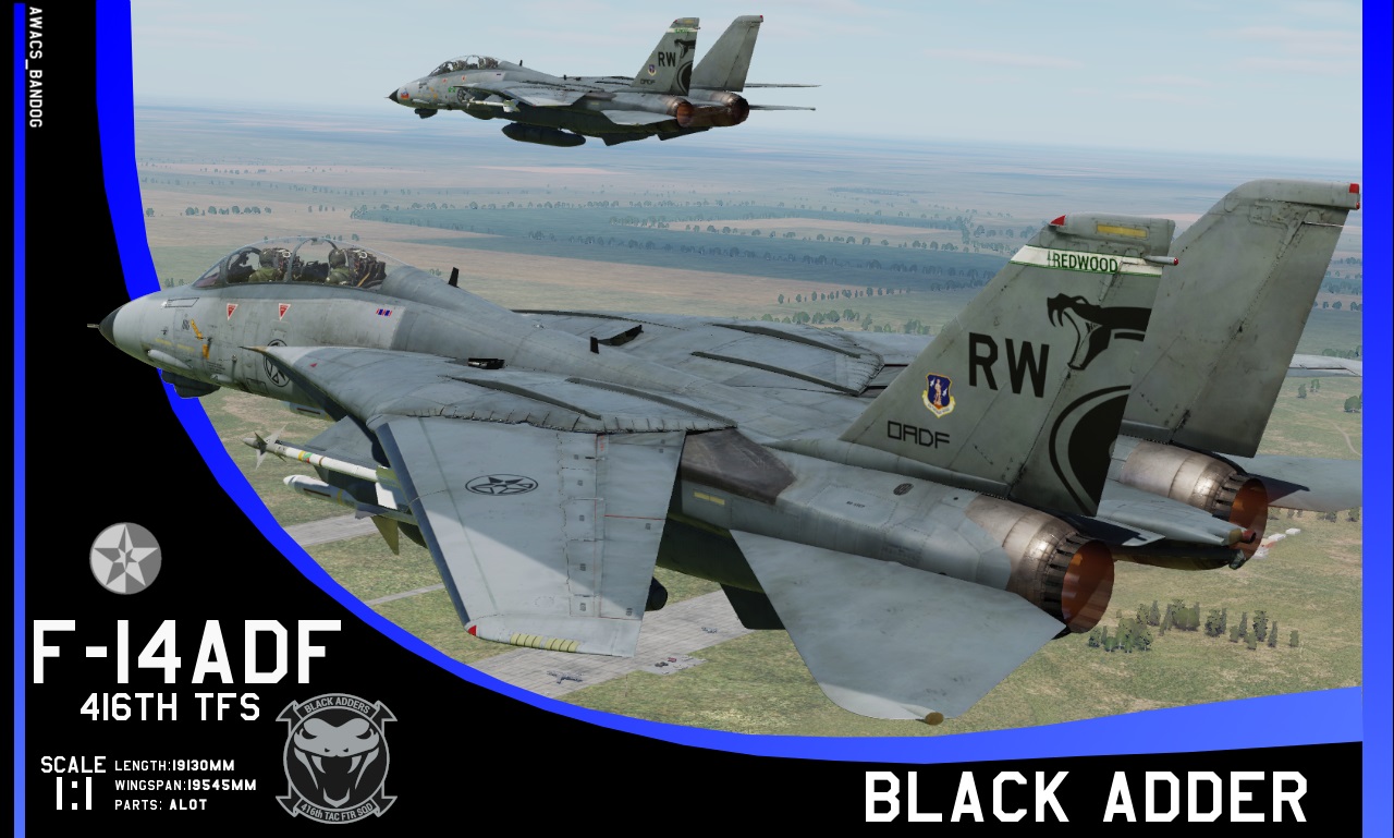 Ace Combat - 416th Tactical Fighter Squadron "Black Adders" Redwood Air National Guard F-14